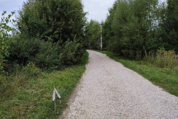 Наши работы