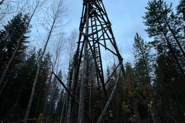 Наши работы